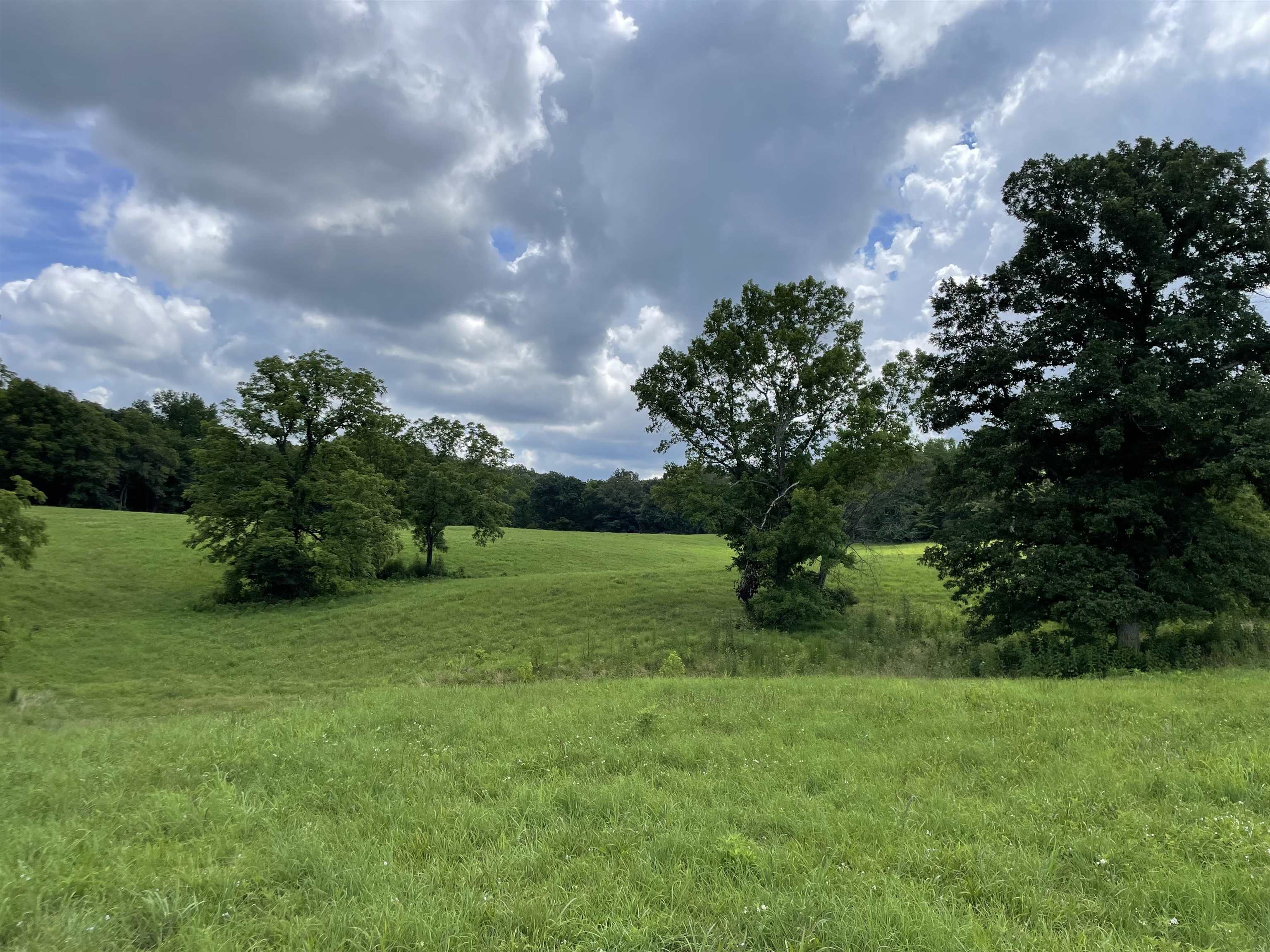 2245 Big Ivy Road Savannah, TN 38372 - Photo 27 of 37