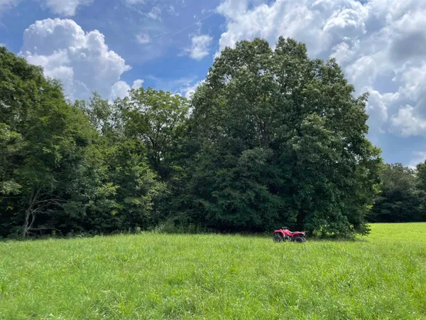 $987,500 | 2245 Big Ivy Road, Savannah, TN 38372