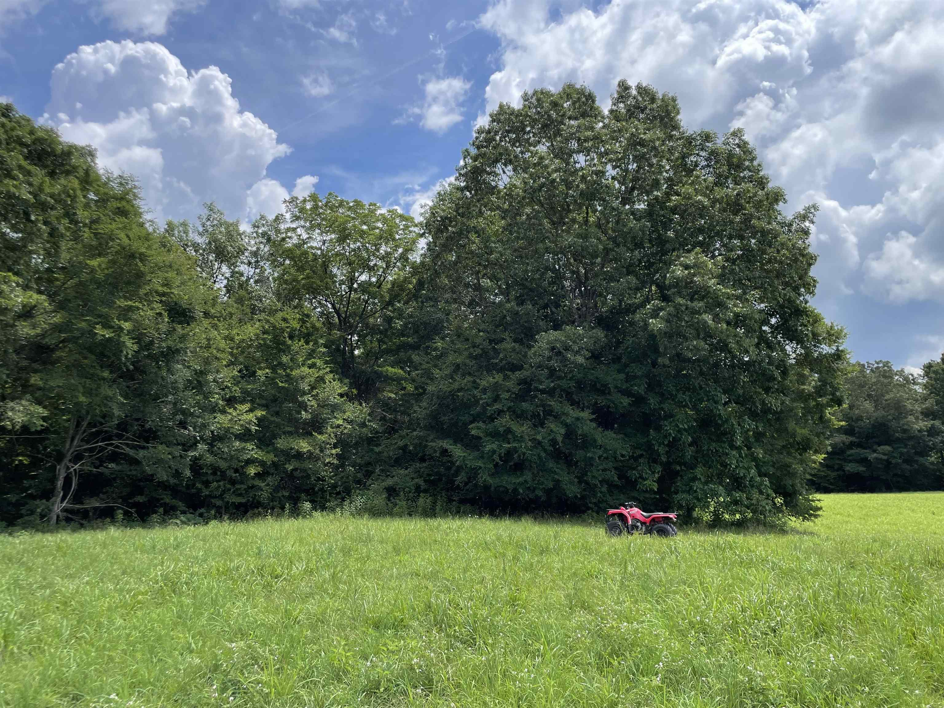 2245 Big Ivy Road Savannah, TN 38372 - Photo 28 of 37