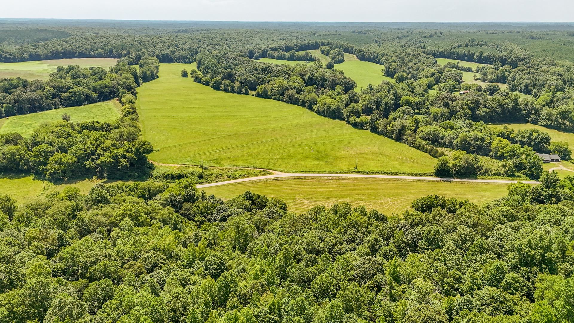 2245 Big Ivy Road Savannah, TN 38372 - Photo 29 of 37