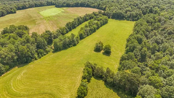 a view of a large yard with lots of green space