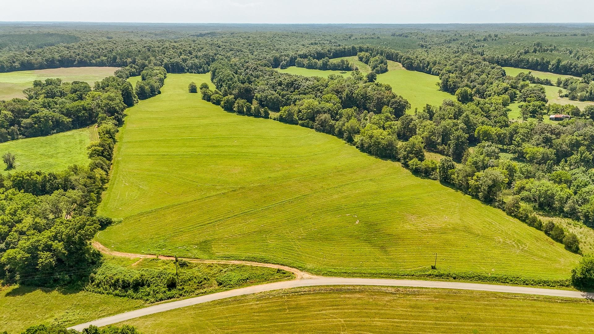 2245 Big Ivy Road Savannah, TN 38372 - Photo 31 of 37
