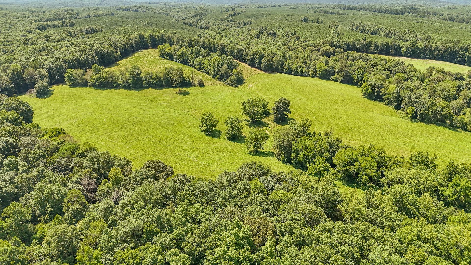 2245 Big Ivy Road Savannah, TN 38372 - Photo 32 of 37 a view of a lake with a yard