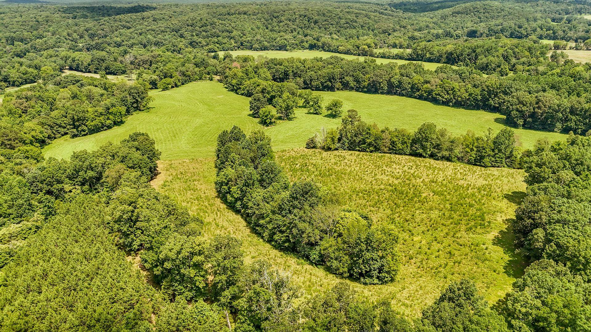 2245 Big Ivy Road Savannah, TN 38372 - Photo 33 of 37