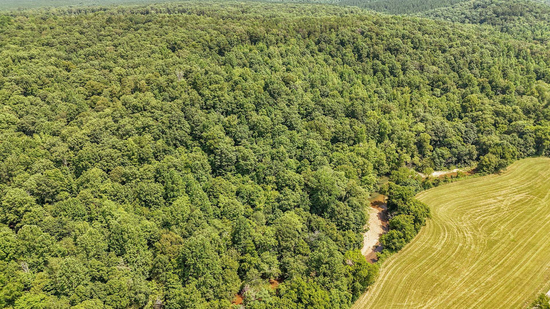 2245 Big Ivy Road Savannah, TN 38372 - Photo 5 of 37 a view of a large yard with lots of green space