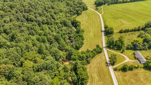 a view of an ocean from a yard