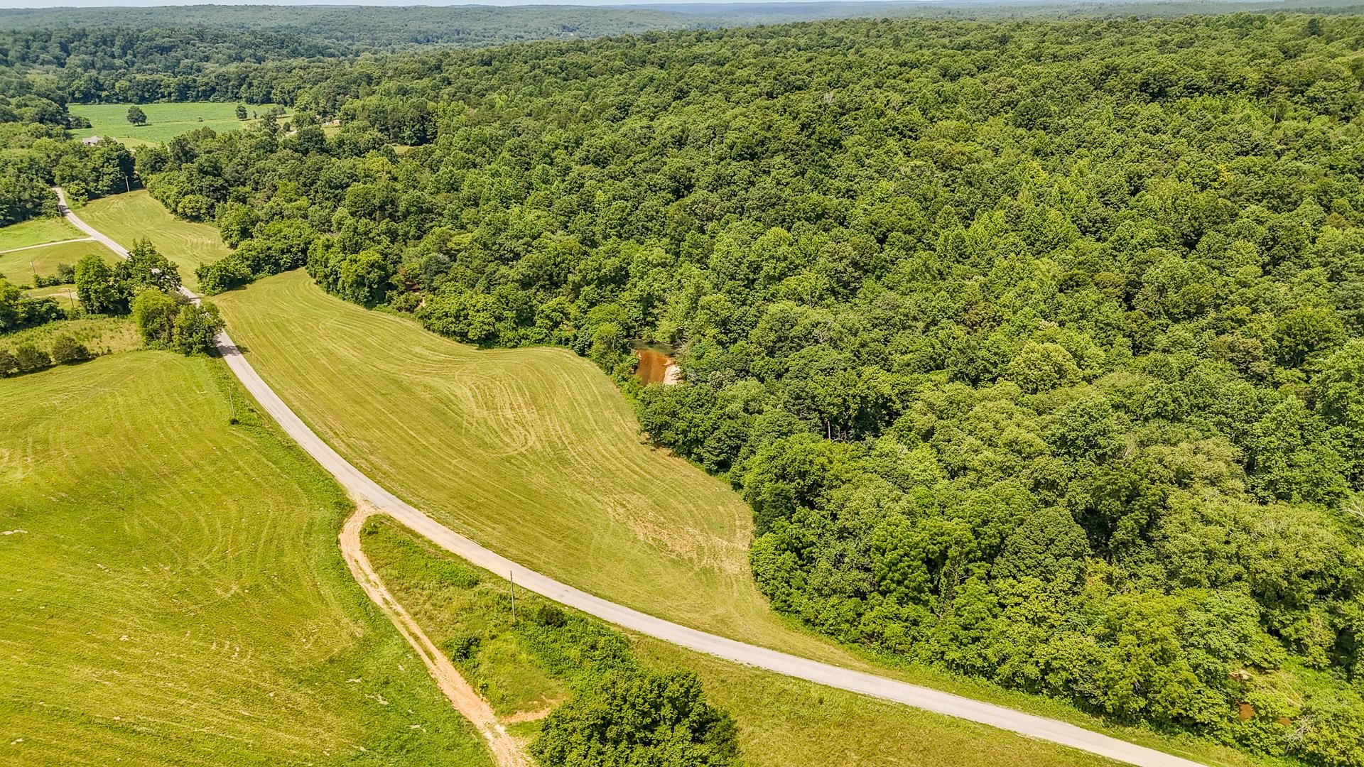 2245 Big Ivy Road Savannah, TN 38372 - Photo 7 of 37