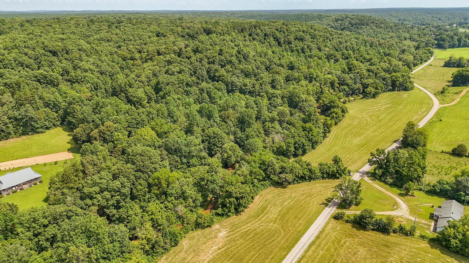 2245 Big Ivy Road Savannah, TN 38372 - Photo 8 of 37