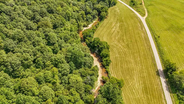 a view of swimming pool with a yard
