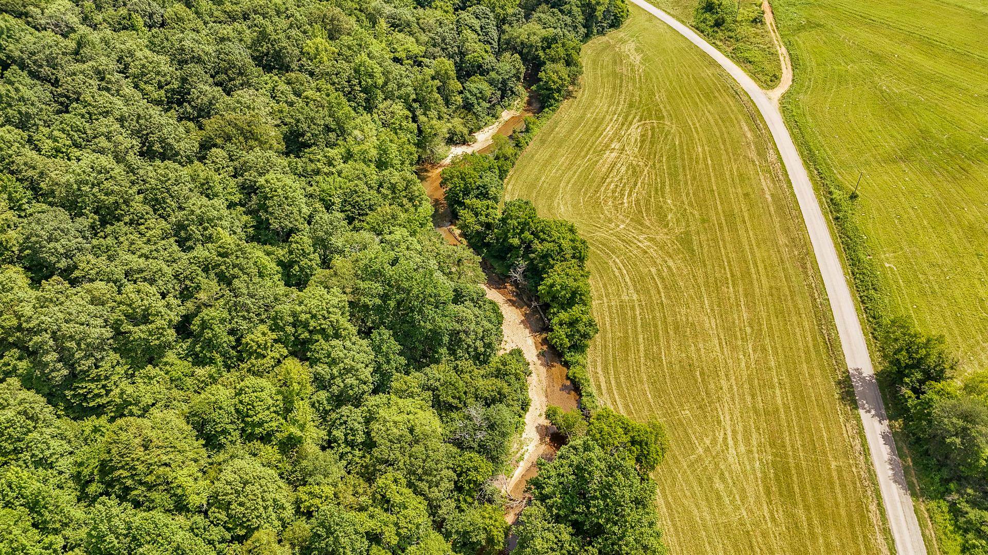 2245 Big Ivy Road Savannah, TN 38372 - Photo 10 of 37