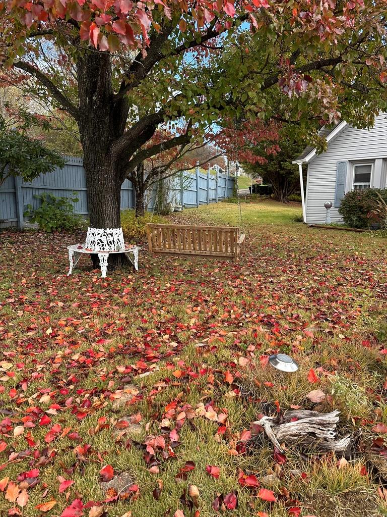 502 Powerhouse Road Independence, VA 24348 - Photo 2 of 57 Gallery Image 2
