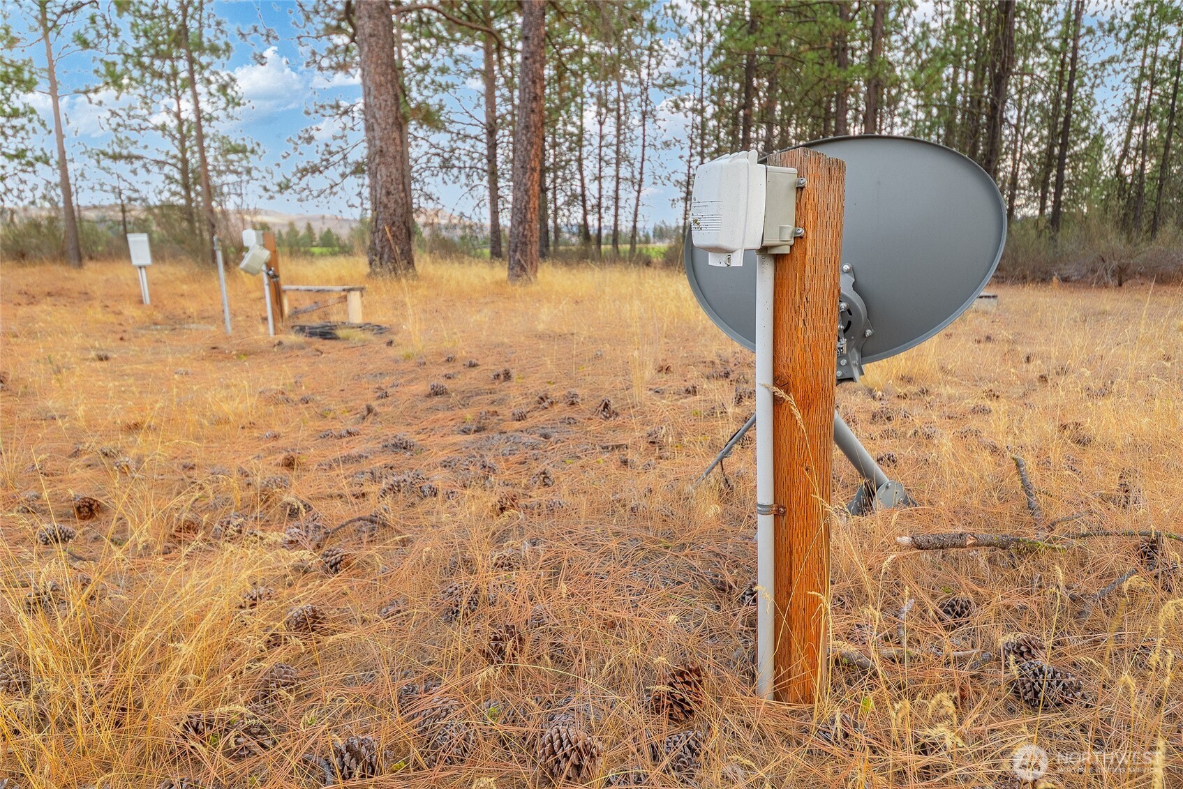 39355 Orchard Road East Davenport, WA 99122 - Photo 16 of 21