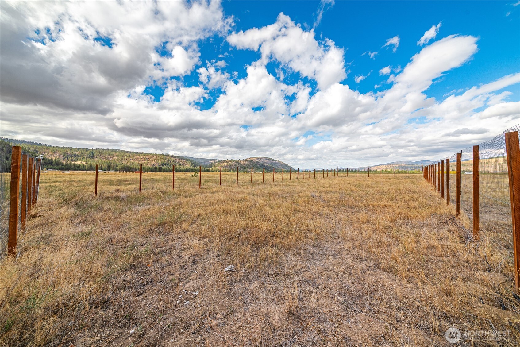 39355 Orchard Road East Davenport, WA 99122 - Photo 18 of 21