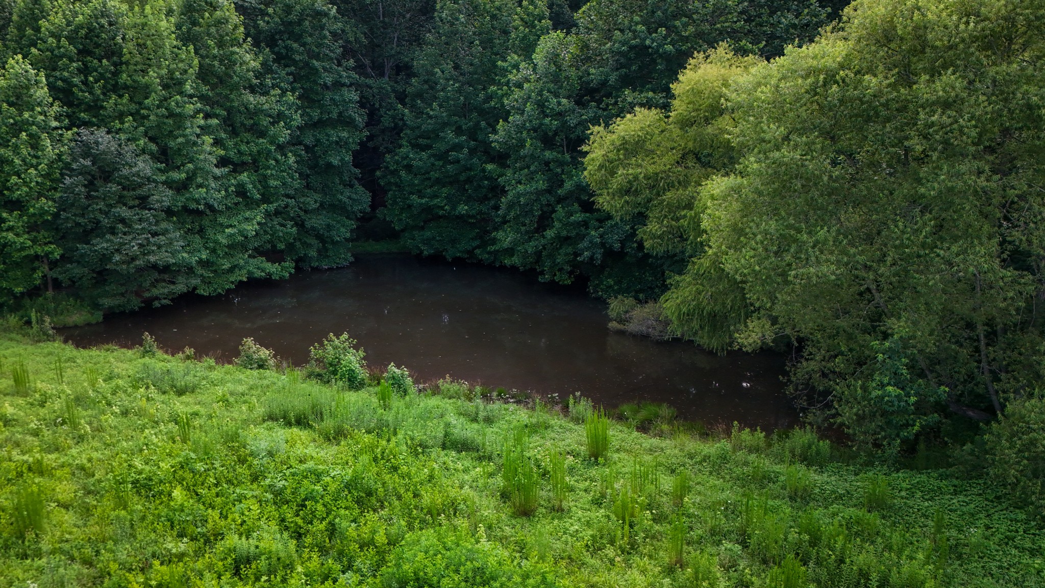 193 Westside Road Lawrenceburg, TN 38464 - Photo 14 of 23