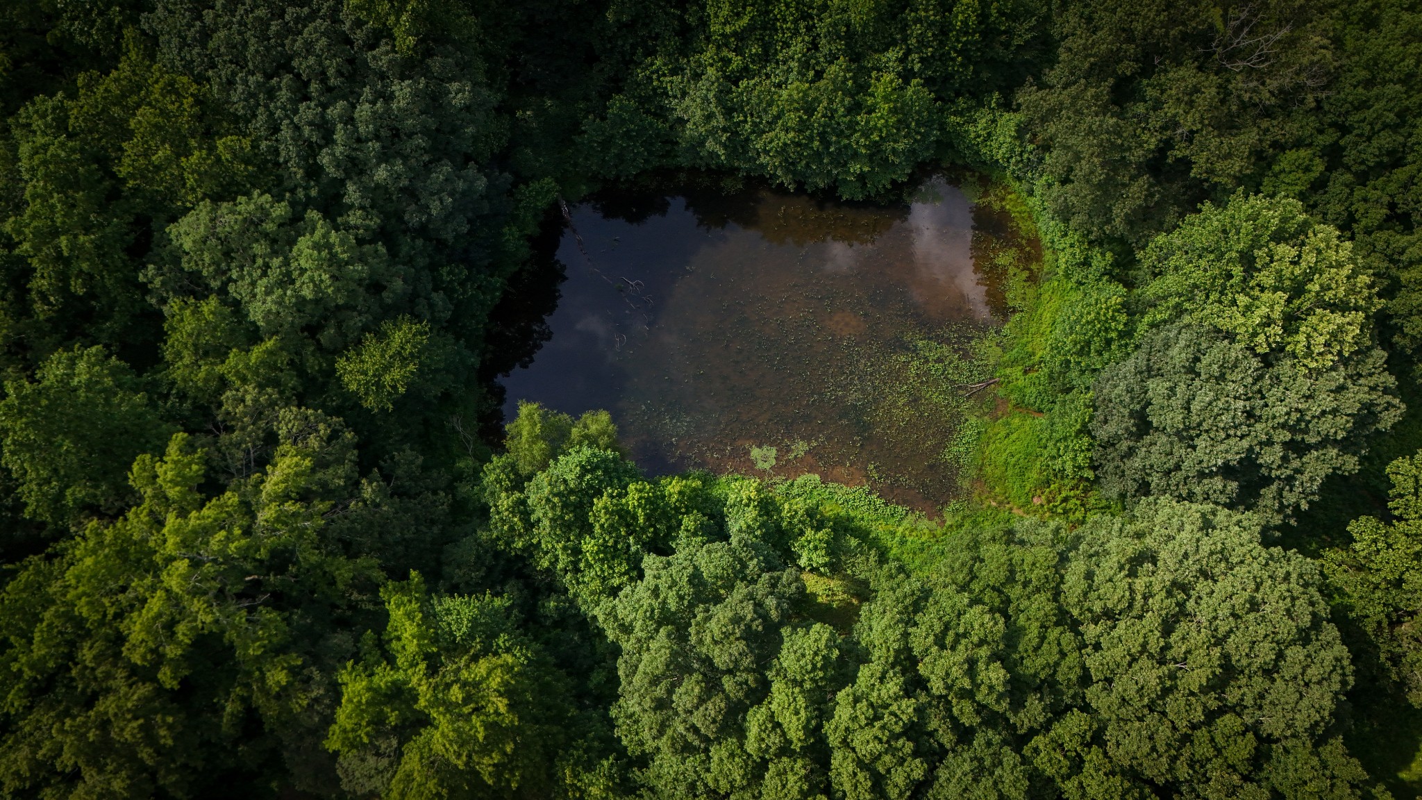 193 Westside Road Lawrenceburg, TN 38464 - Photo 15 of 23