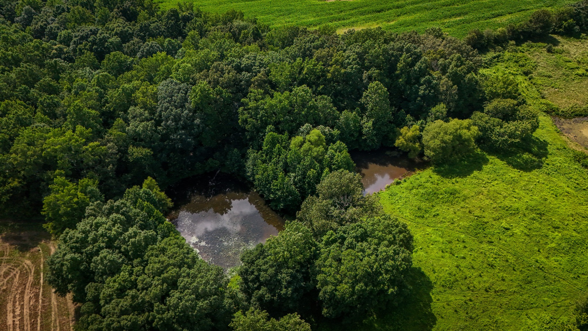 193 Westside Road Lawrenceburg, TN 38464 - Photo 17 of 23