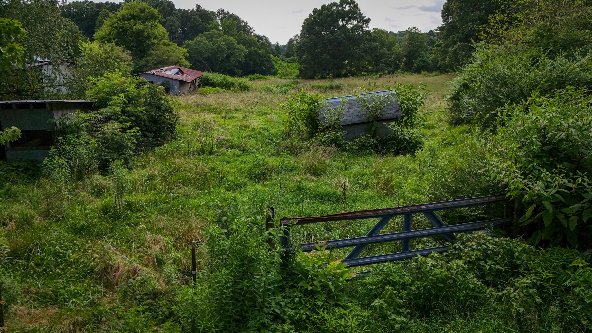 193 Westside Road Lawrenceburg, TN 38464 - Photo 18 of 23