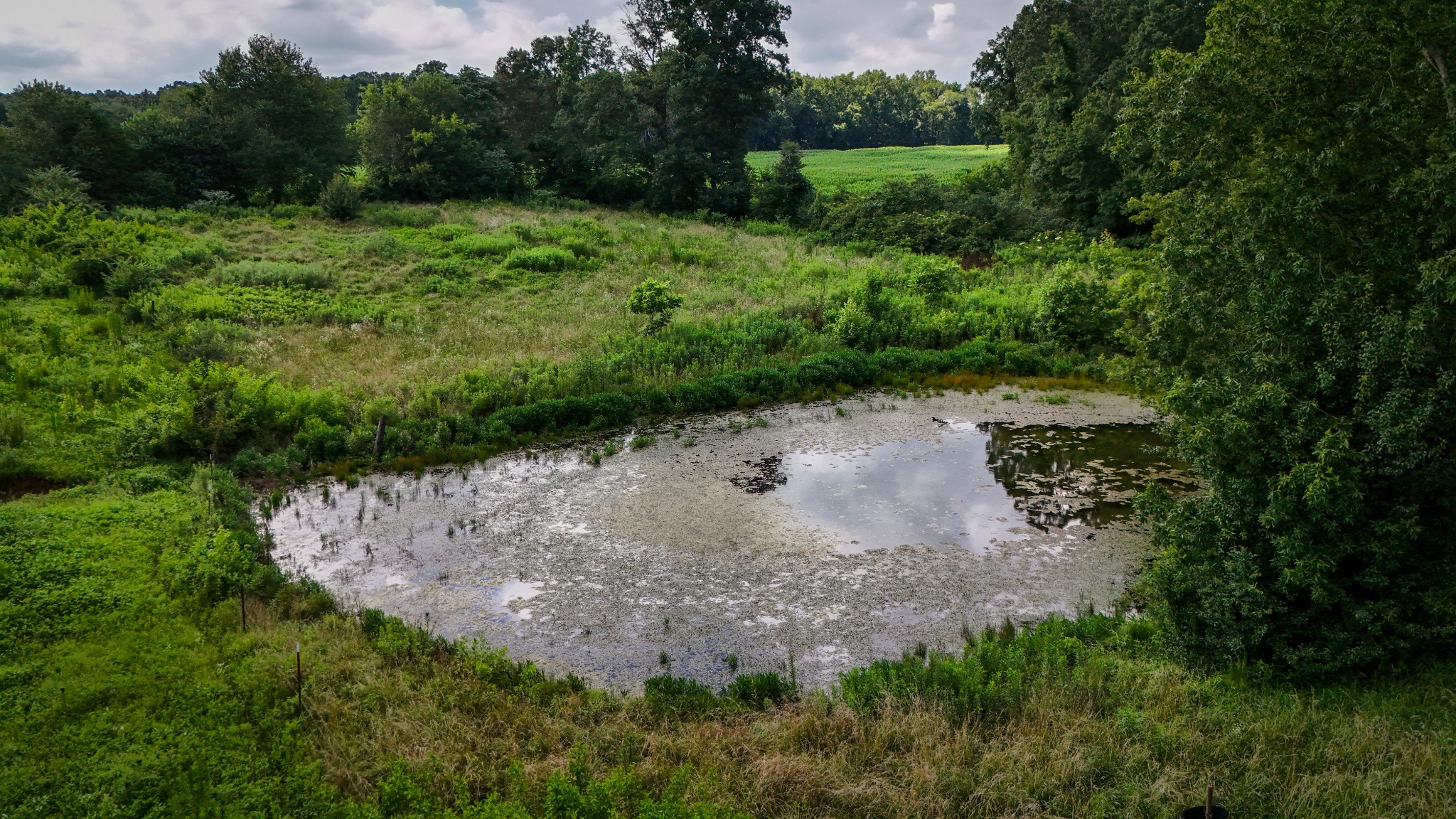 193 Westside Road Lawrenceburg, TN 38464 - Photo 19 of 23