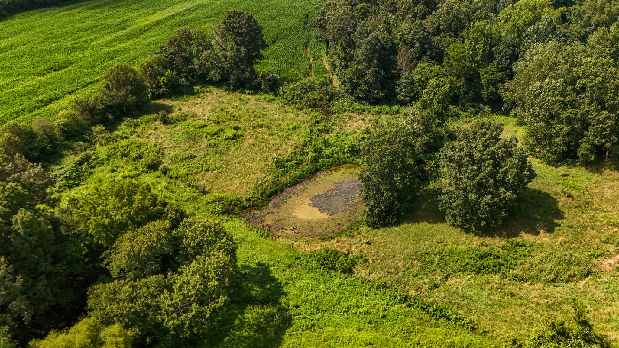 193 Westside Road Lawrenceburg, TN 38464 - Photo 8 of 23