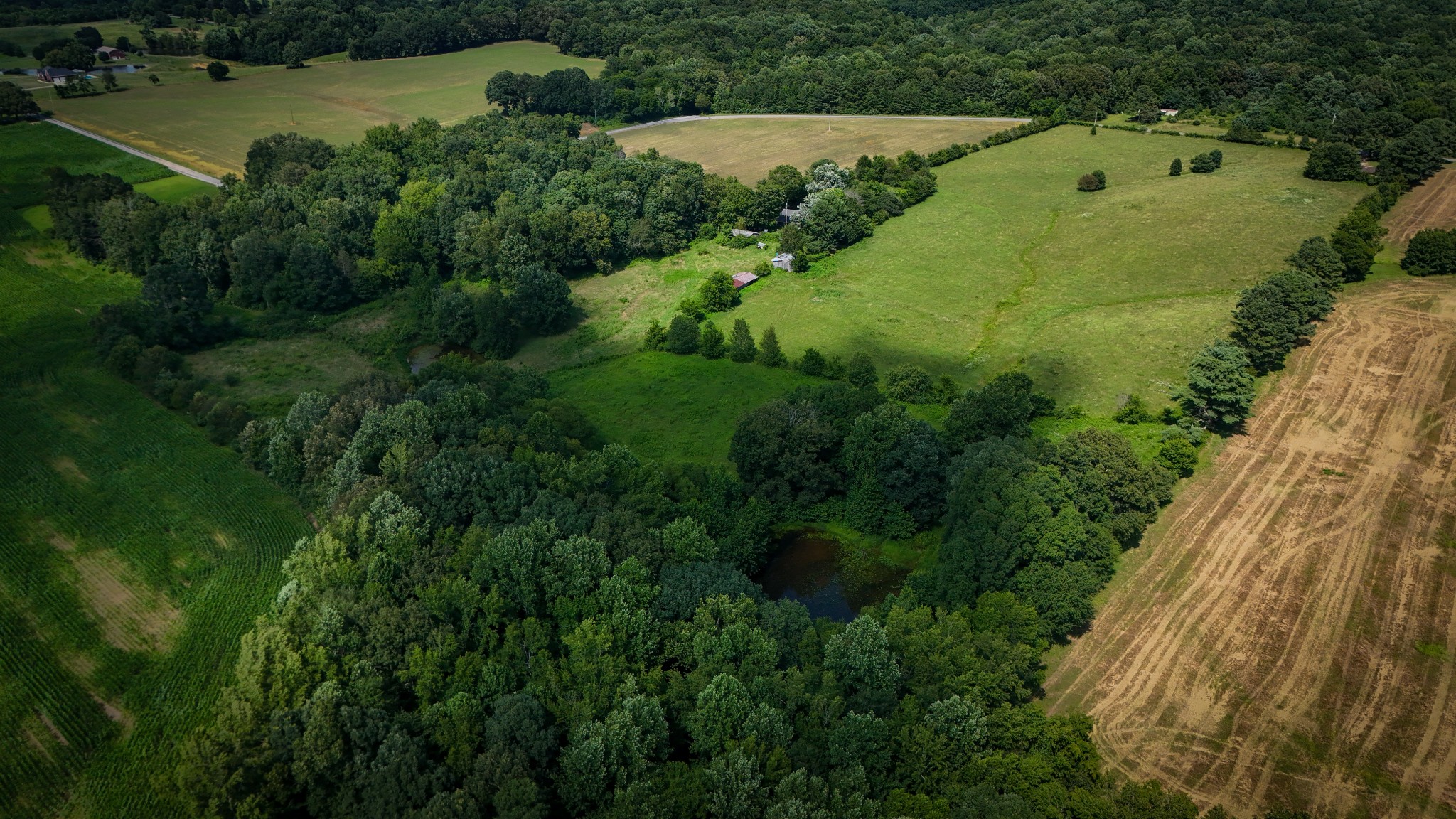 193 Westside Road Lawrenceburg, TN 38464 - Photo 9 of 23