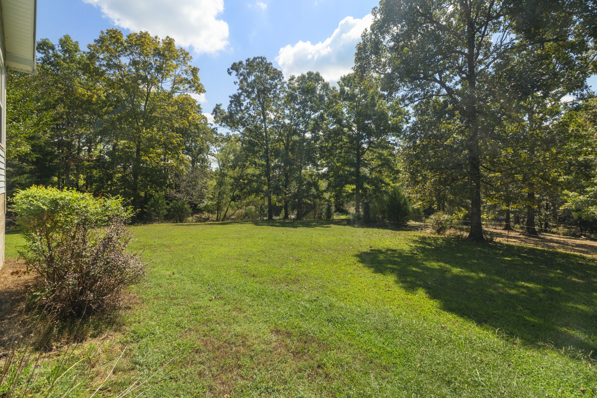 3859 Erin Road McEwen, TN 37101 - Photo 12 of 52 a view of a trees with a yard