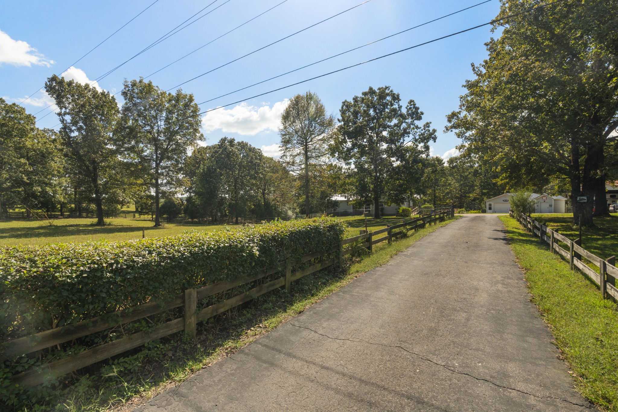 3859 Erin Road McEwen, TN 37101 - Photo 2 of 52 a view of a yard with potted plants