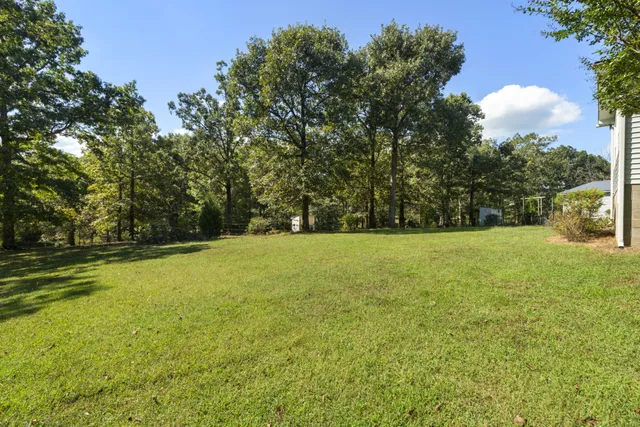a view of outdoor space with deck and trees