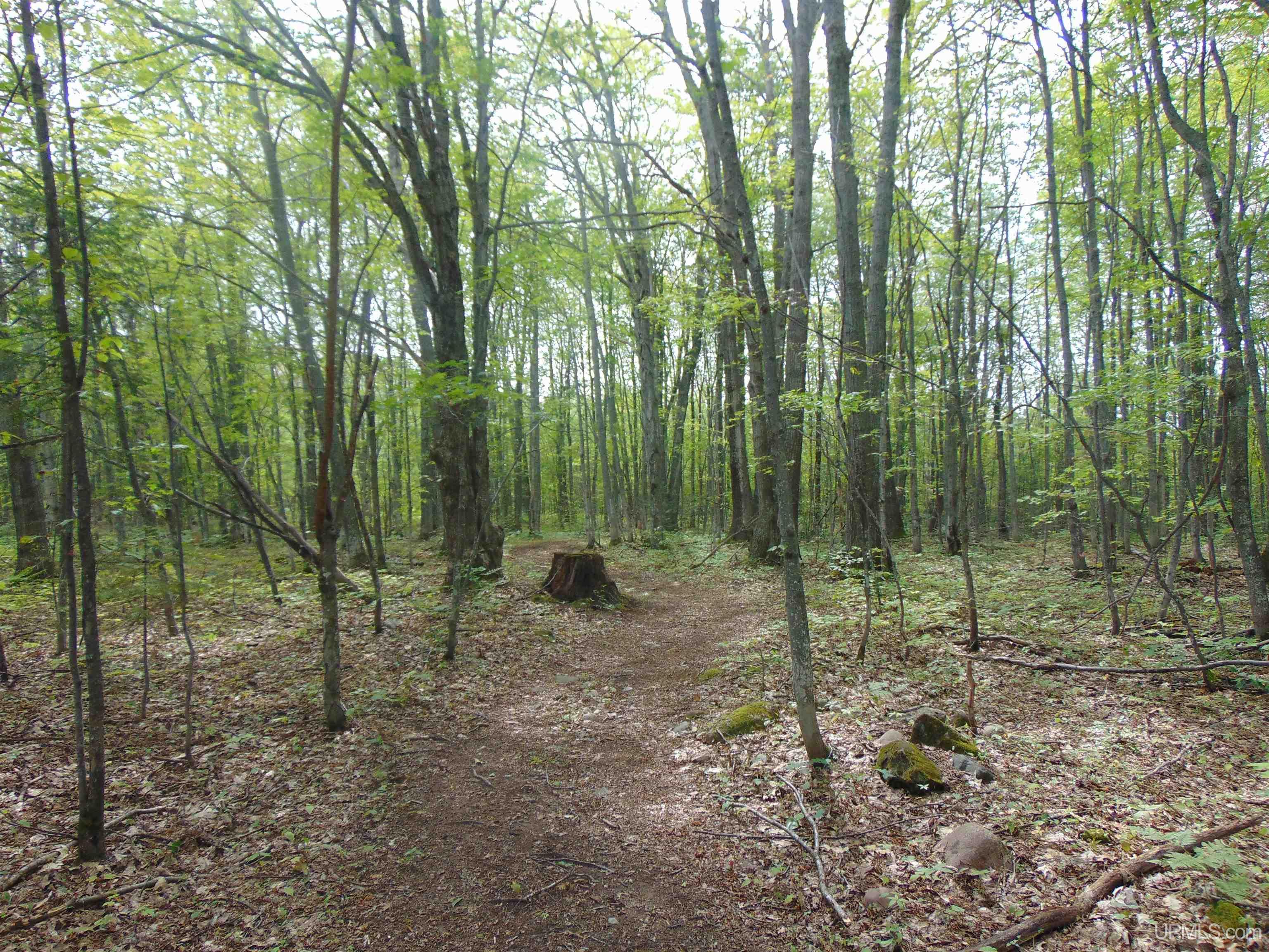 15 Coles Creek Road Atlantic Mine, MI 49905 - Photo 18 of 31