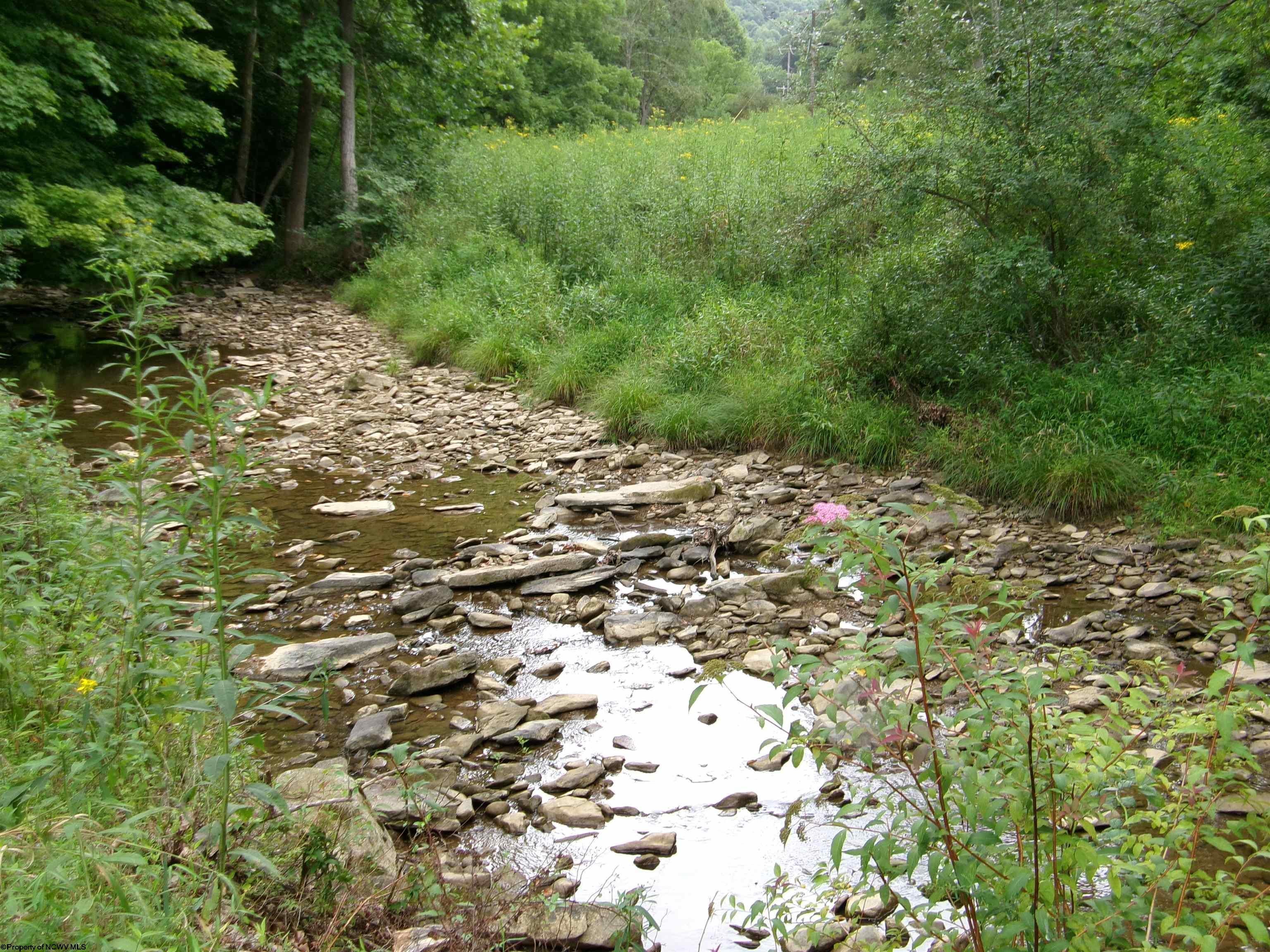 28 Line Fairmont, WV 26554 - Photo 10 of 41 Gallery Image 10
