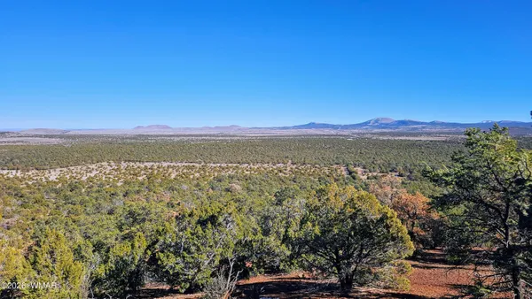 $224,900 | 76 N3130, Vernon, AZ 85940