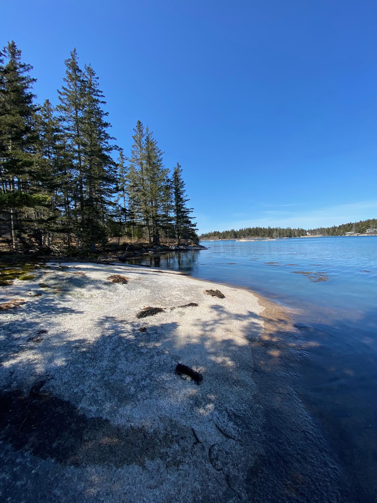 93 A Dyers Island Road Vinalhaven, ME 04863 - Photo 4 of 28 IMG_7211