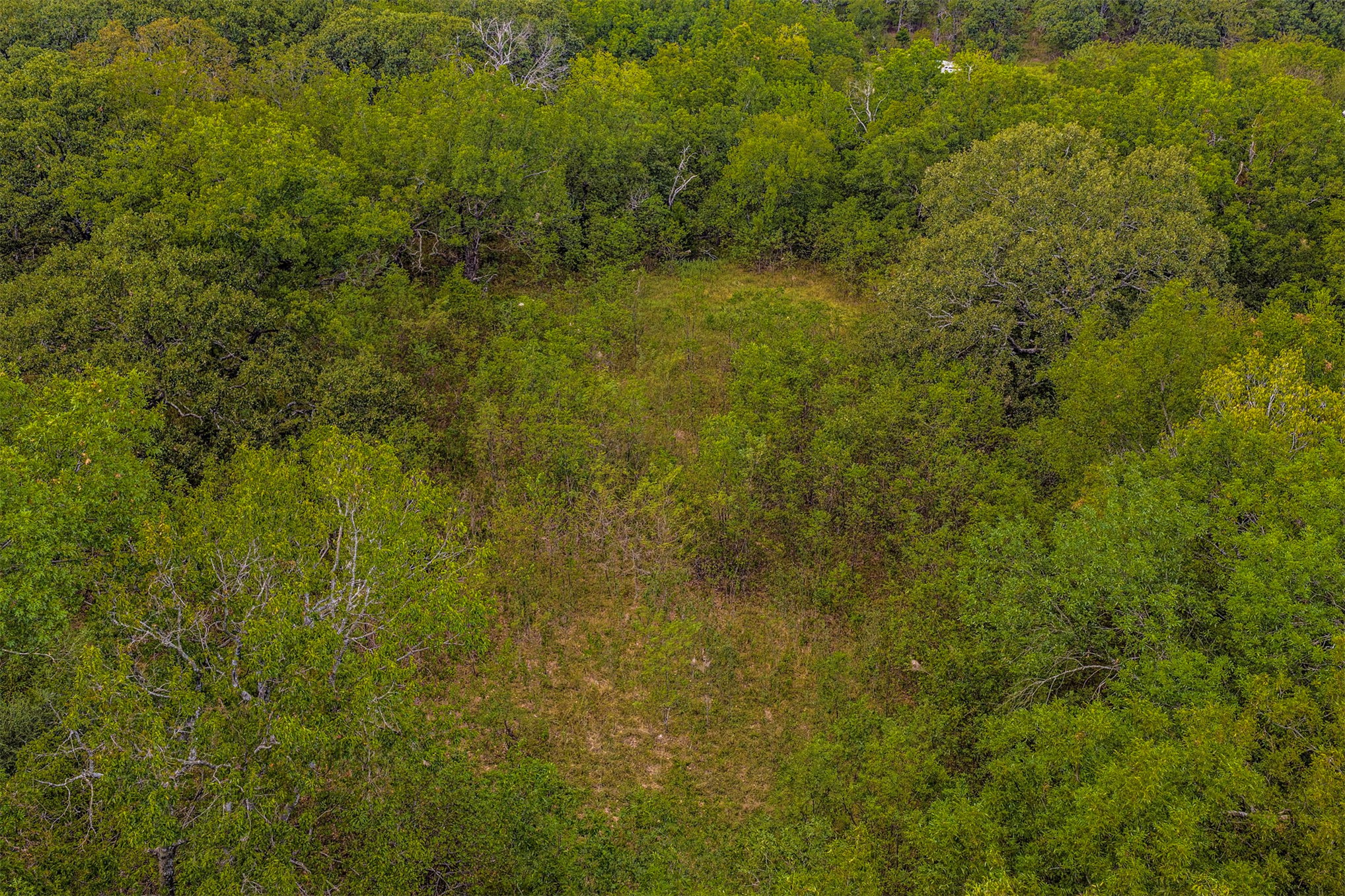 King Road Claremore, OK 74019 - Photo 44 of 45 Expansive verdant foliage surrounds an open, natural clearing