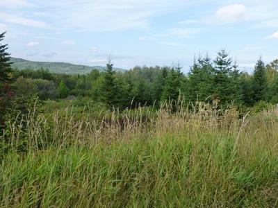 271 Violette Settlement Road Fort Kent, ME 04743 - Photo 4 of 5 vsr6