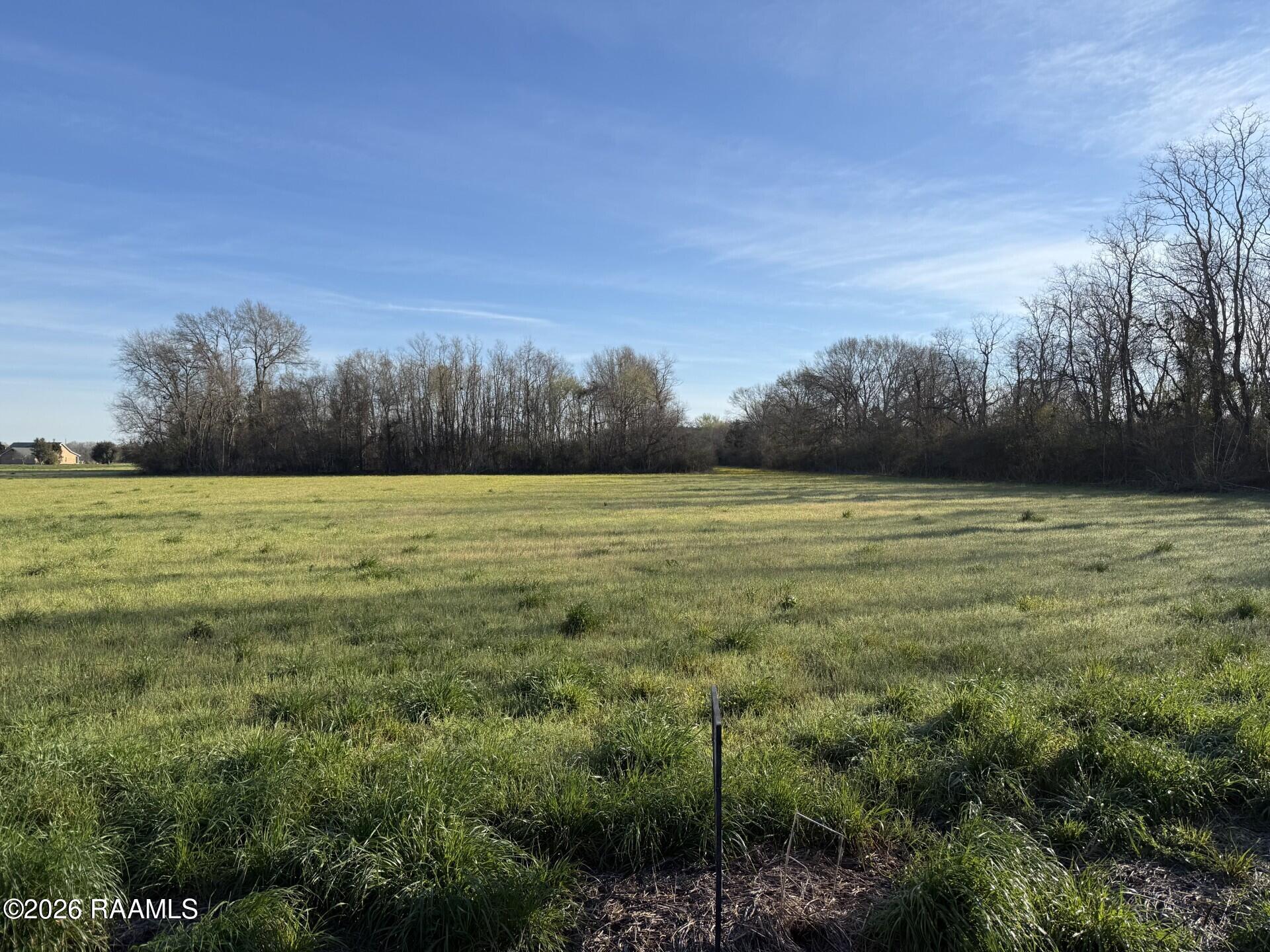 Tbd Water Tower Road Washington, LA 70589 - Photo 2 of 2 2c000b12-4a0c-40ea-af1f-891852f88aa0