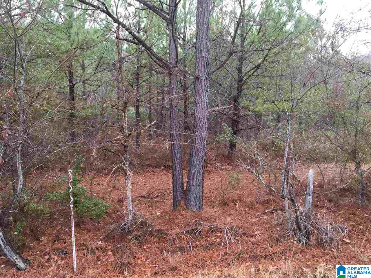 Jackson Trace Road, Unit 28 Ohatchee, AL 36271 - Photo 8 of 28