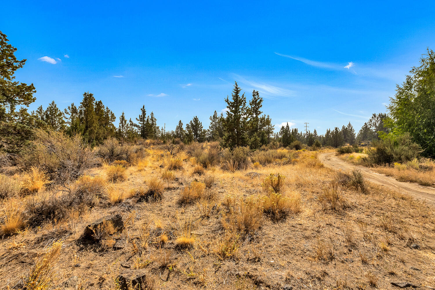 21533 Stoney Ridge Road Bend, OR 97701 - Photo 15 of 16 OReilly_20200921_13_280136_72ppi