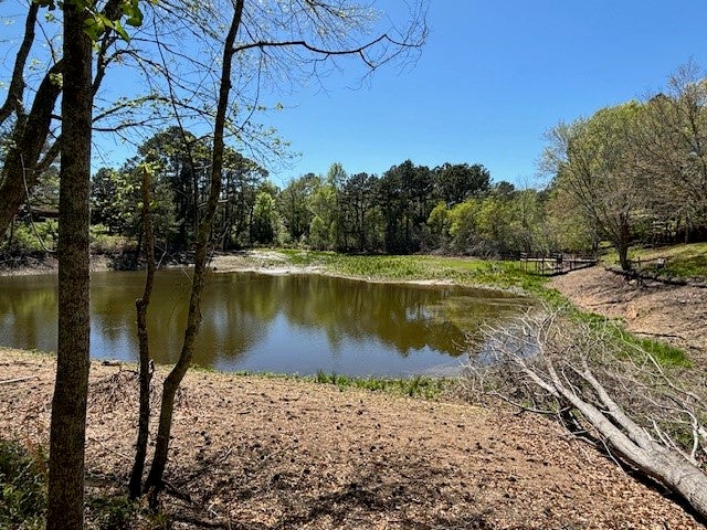 364 Kent Road Tallassee, AL 36078 - Photo 20 of 32 Gallery Image 20