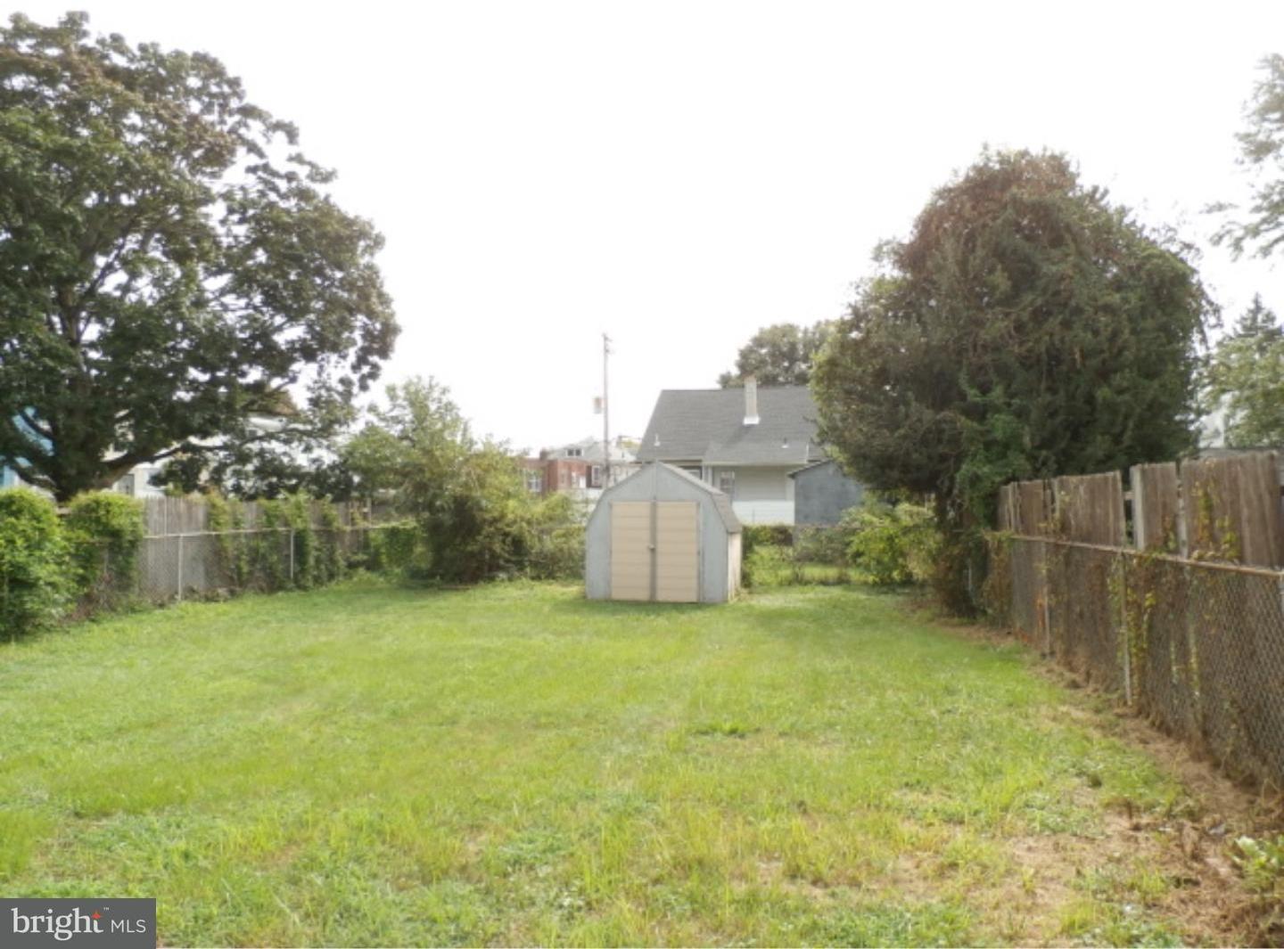 Back Yard
