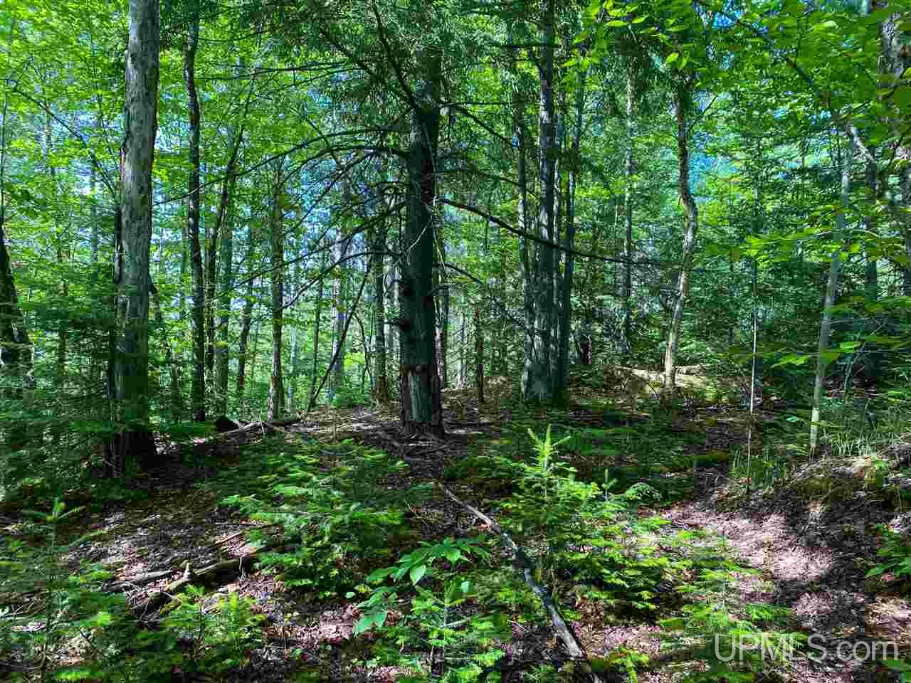 Tbd M-64 Ontonagon, MI 49953 - Photo 5 of 22