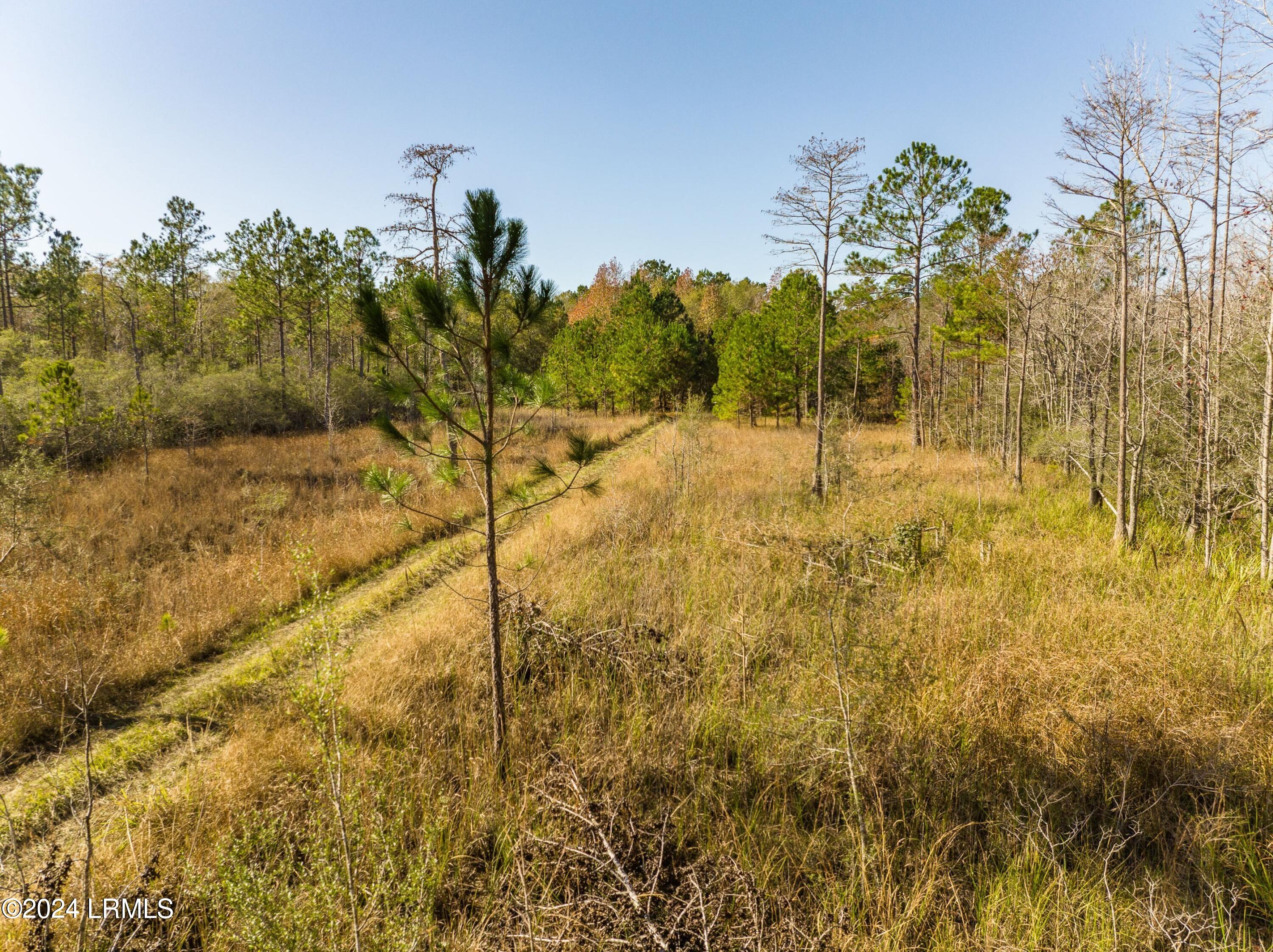 4488 B Pond Town Road Brunson, SC 29911 - Photo 2 of 3 DJI_0516-1.jpg-SMALL