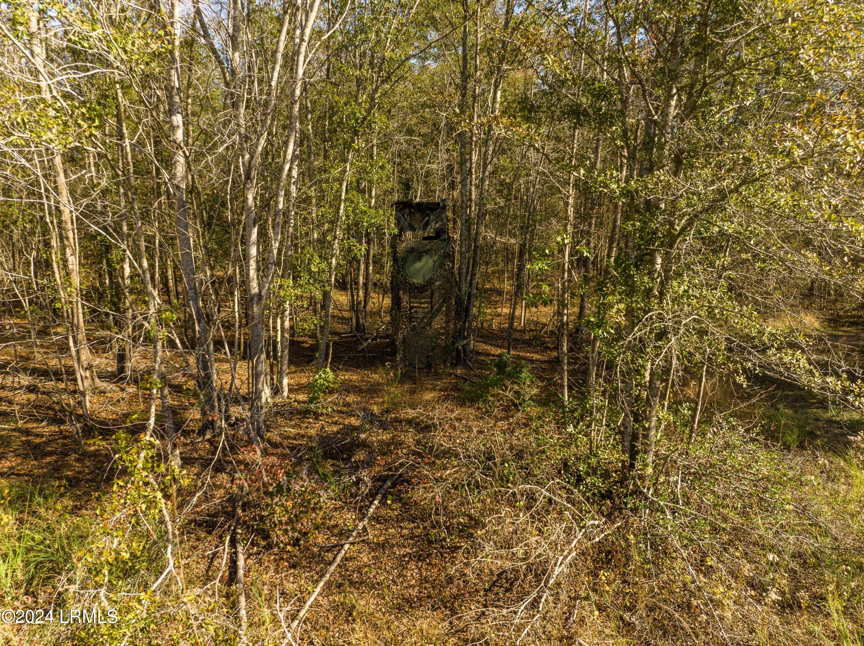 4488 B Pond Town Road Brunson, SC 29911 - Photo 3 of 3 DJI_0515-1.jpg-SMALL