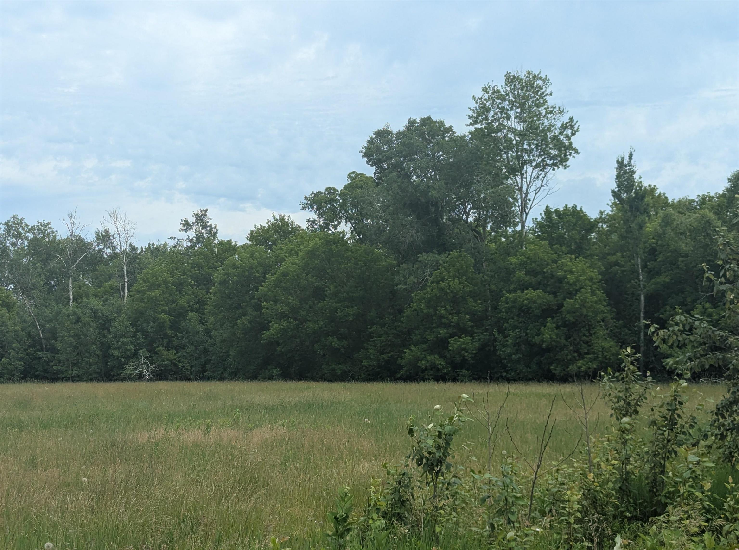N/a Shenfield Road Turner, MI 48765 - Photo 14 of 15 1947337-e74c4f20-c0ec-42a5-8847-73b63e54c5fe.JPG