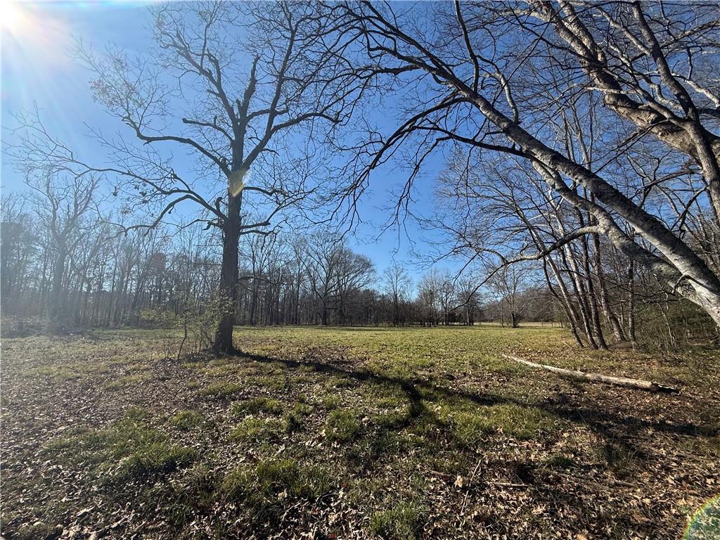 2053 Buttermilk Road Southwest Cave Spring, GA 30124 - Photo 60 of 69 a view of a yard with large trees