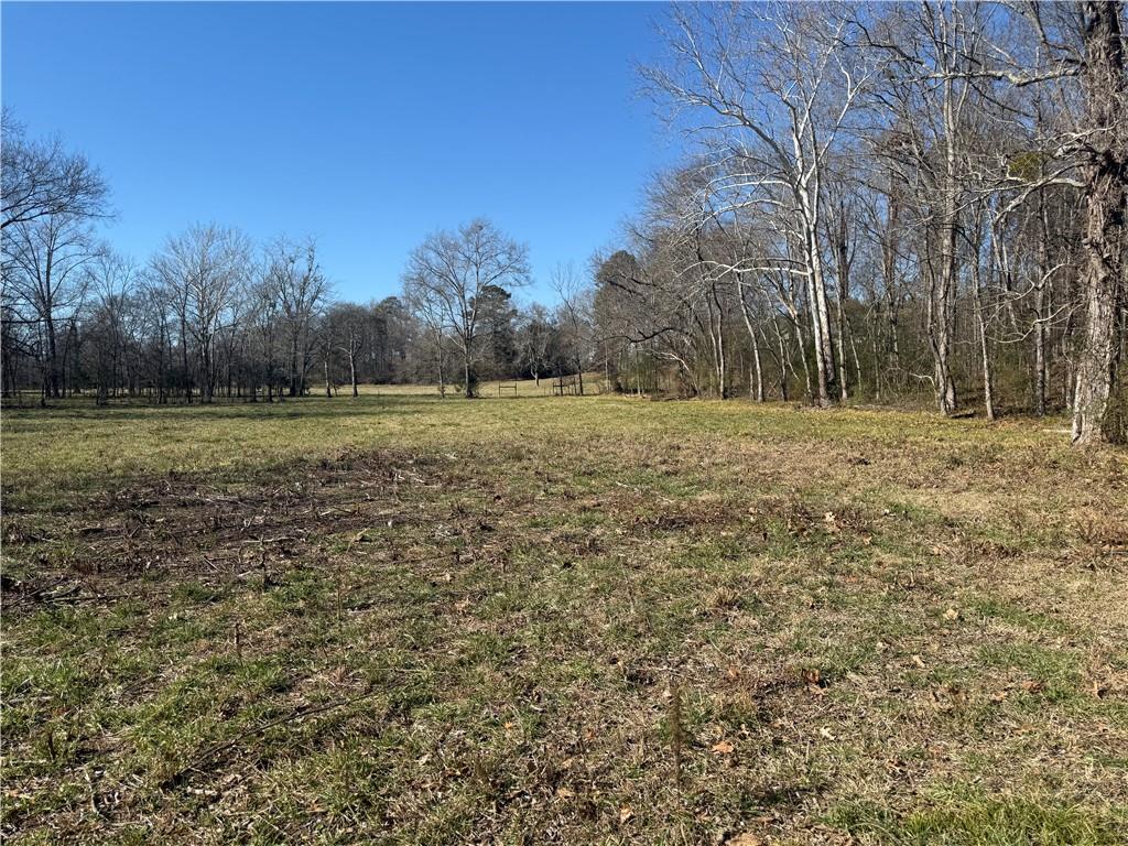 2053 Buttermilk Road Southwest Cave Spring, GA 30124 - Photo 61 of 69
