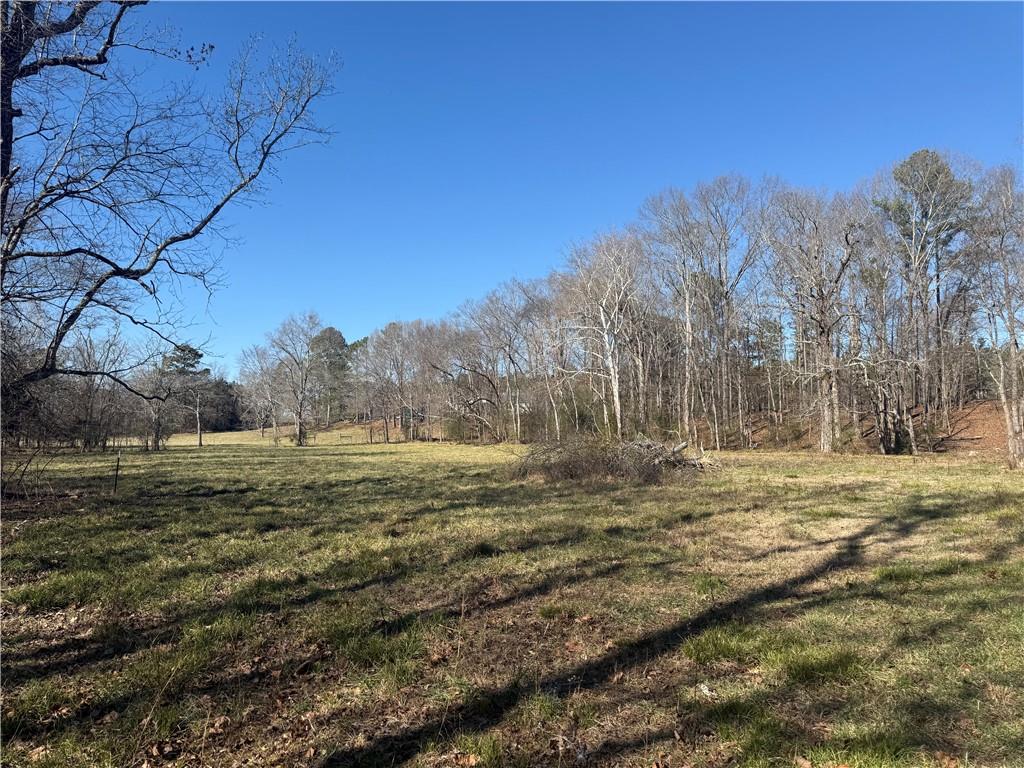 2053 Buttermilk Road Southwest Cave Spring, GA 30124 - Photo 63 of 69