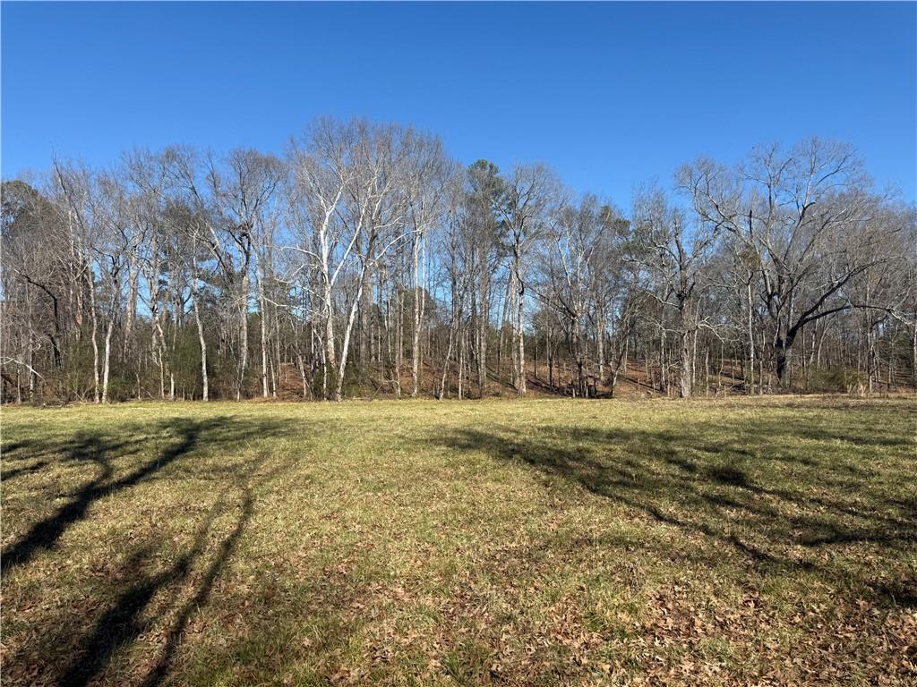 2053 Buttermilk Road Southwest Cave Spring, GA 30124 - Photo 66 of 69