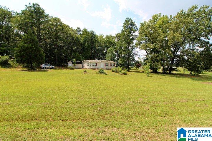 4105 Curry Station Road Munford, AL 36268 - Photo 39 of 39