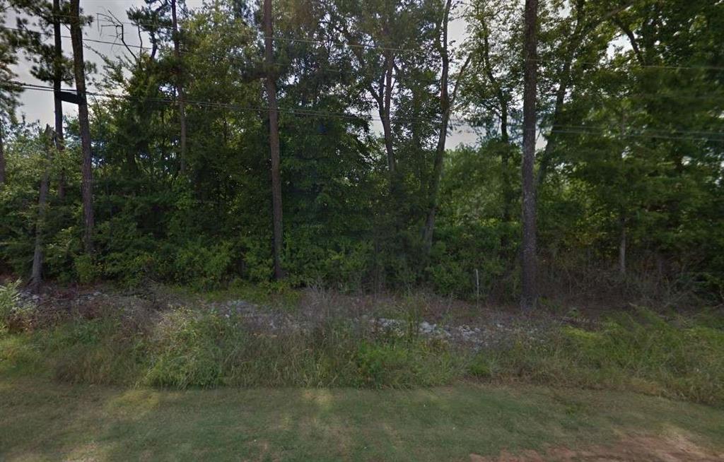 2801 Klondike Road Lithonia, GA 30058 - Photo 2 of 2 a view of a forest