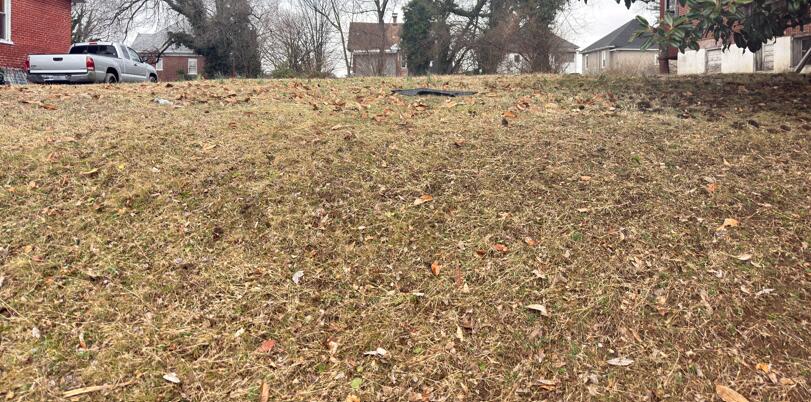 0 Multiple Parcels Road Northwest Roanoke, VA 24017 - Photo 7 of 9 Hanover 2