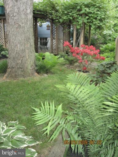 725 Hollen Road Baltimore, MD 21212 - Photo 10 of 12 a backyard of a house with table and chairs and potted plants